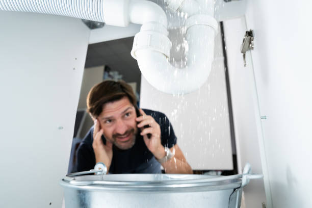 Best Sewer Line Repair  in Collierville, TN