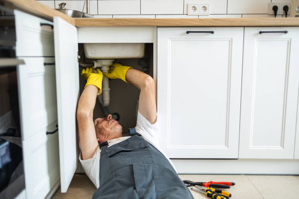 Best Same-Day Plumbing Service  in Collierville, TN